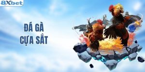 Đá gà cựa sắt