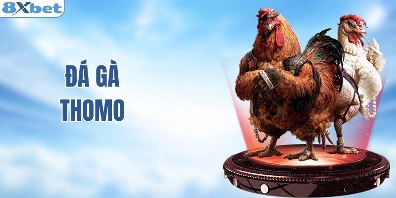 Đá gà Thomo