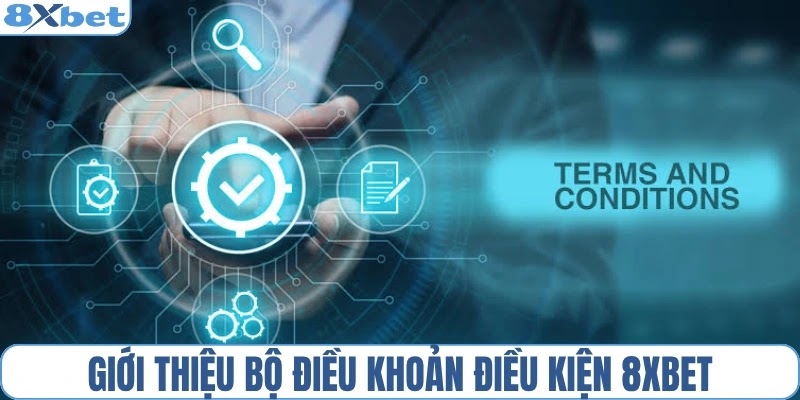 Giới thiệu bộ điều khoản điều kiện 8XBET