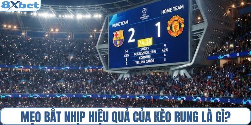 Mẹo bắt nhịp hiệu quả của kèo rung là gì?